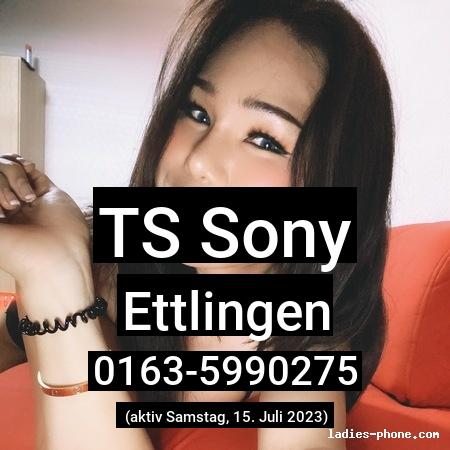 Ts sony aus Ettlingen